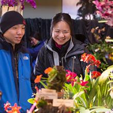Illinois Orchid Society Fall Show & Sale