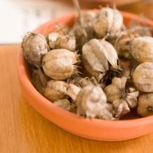 Super Seed Weekend