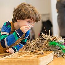 Winter Family Drop-In Activities