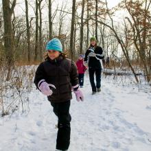 Winter Woods Walk