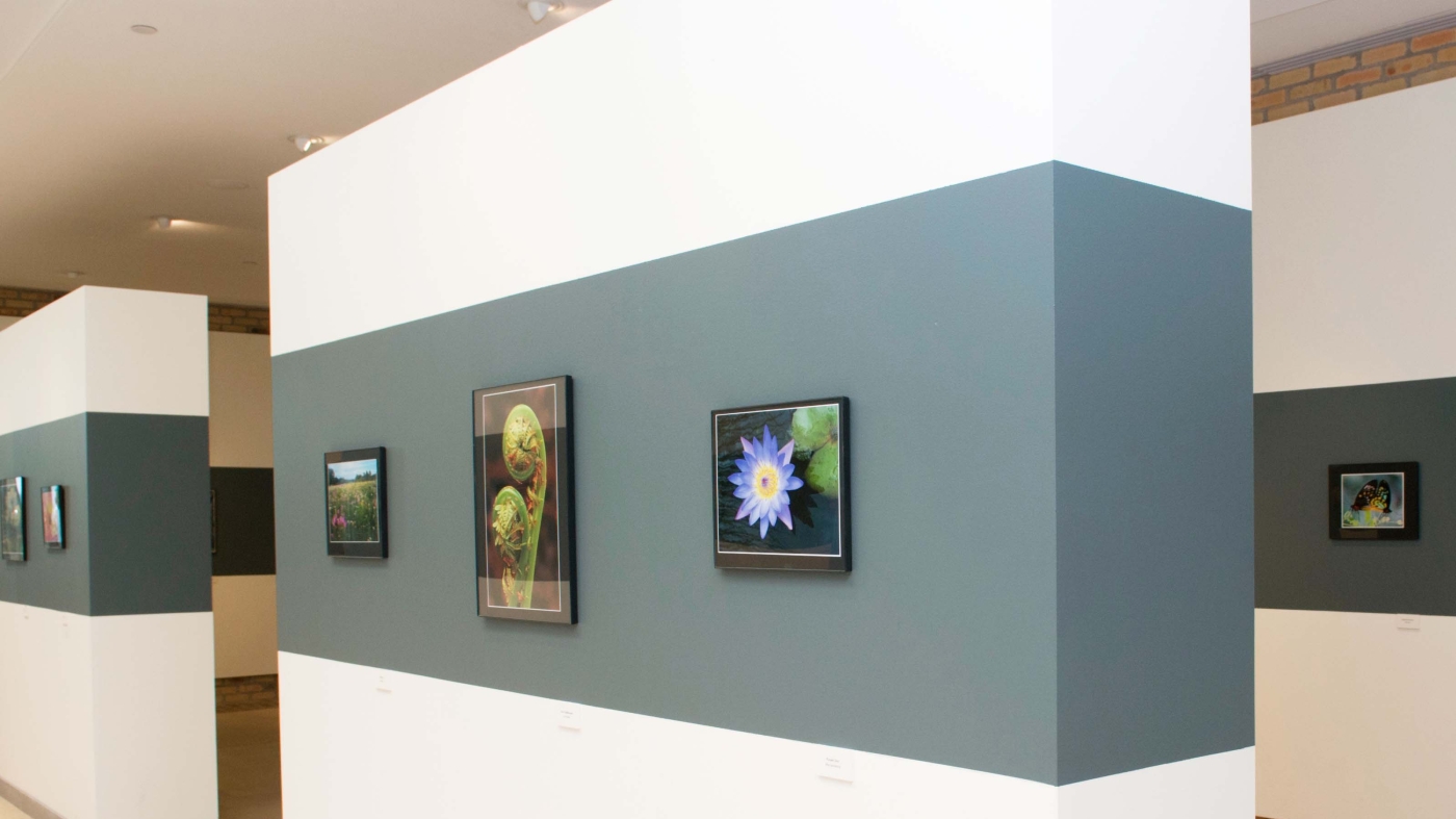 Nature in view Photography show