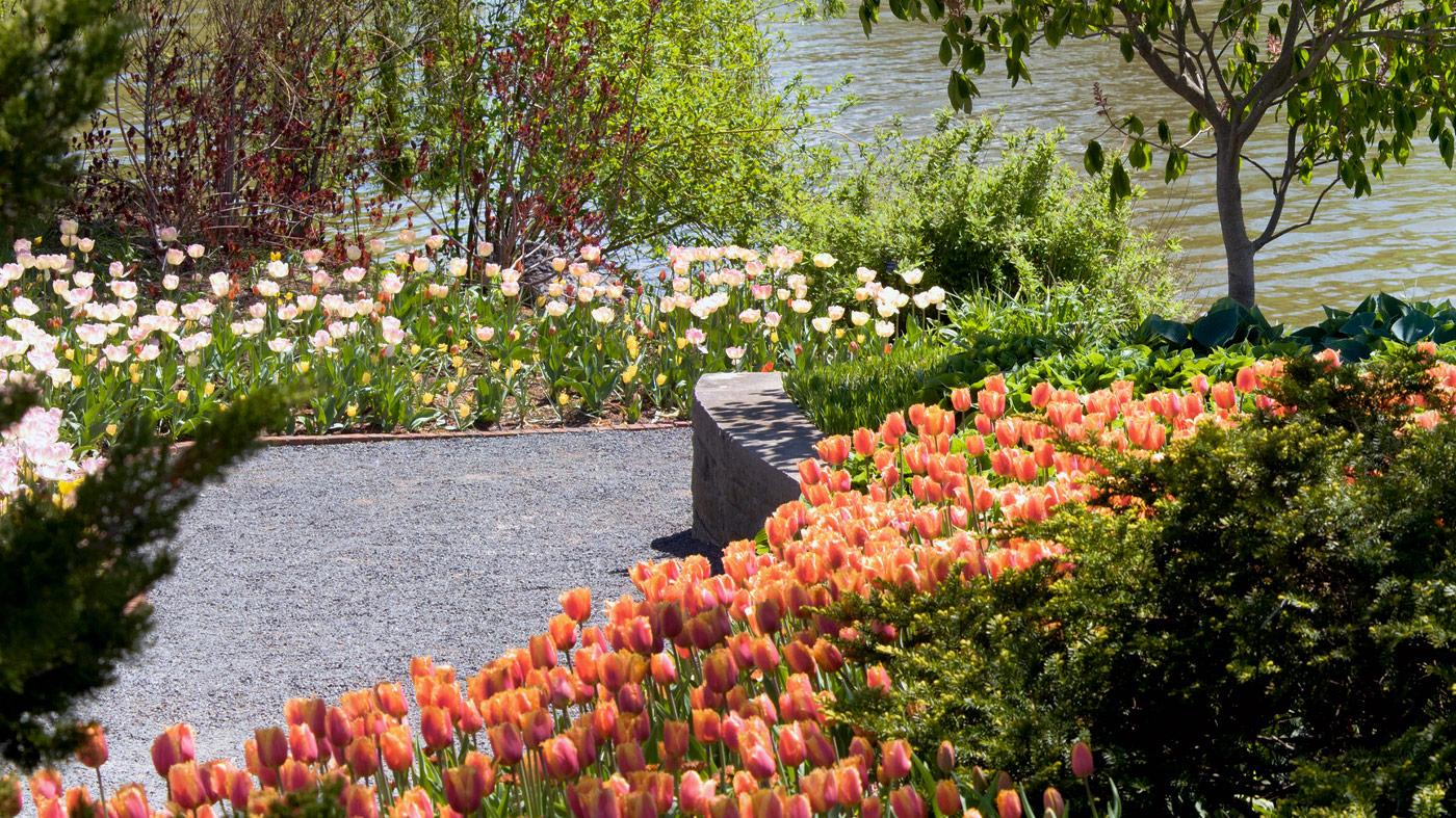 Bulb Garden