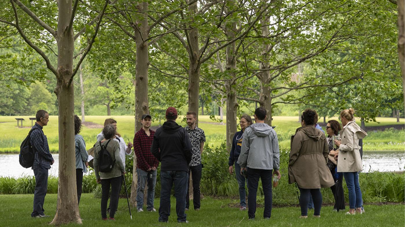 Forest bathing