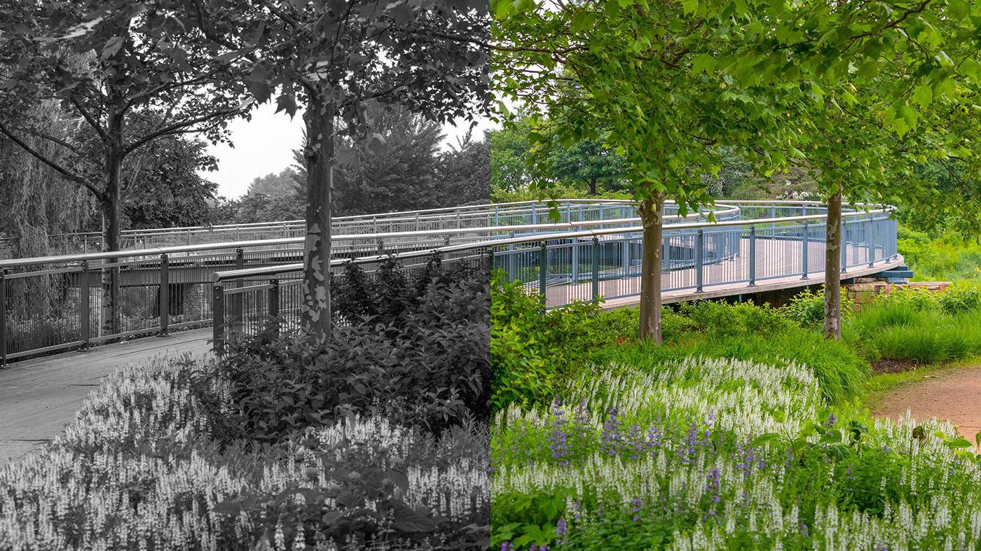 Lightroom