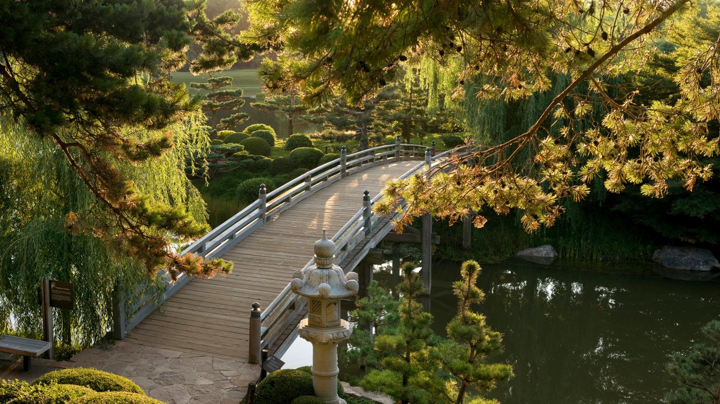 Photographing bridges