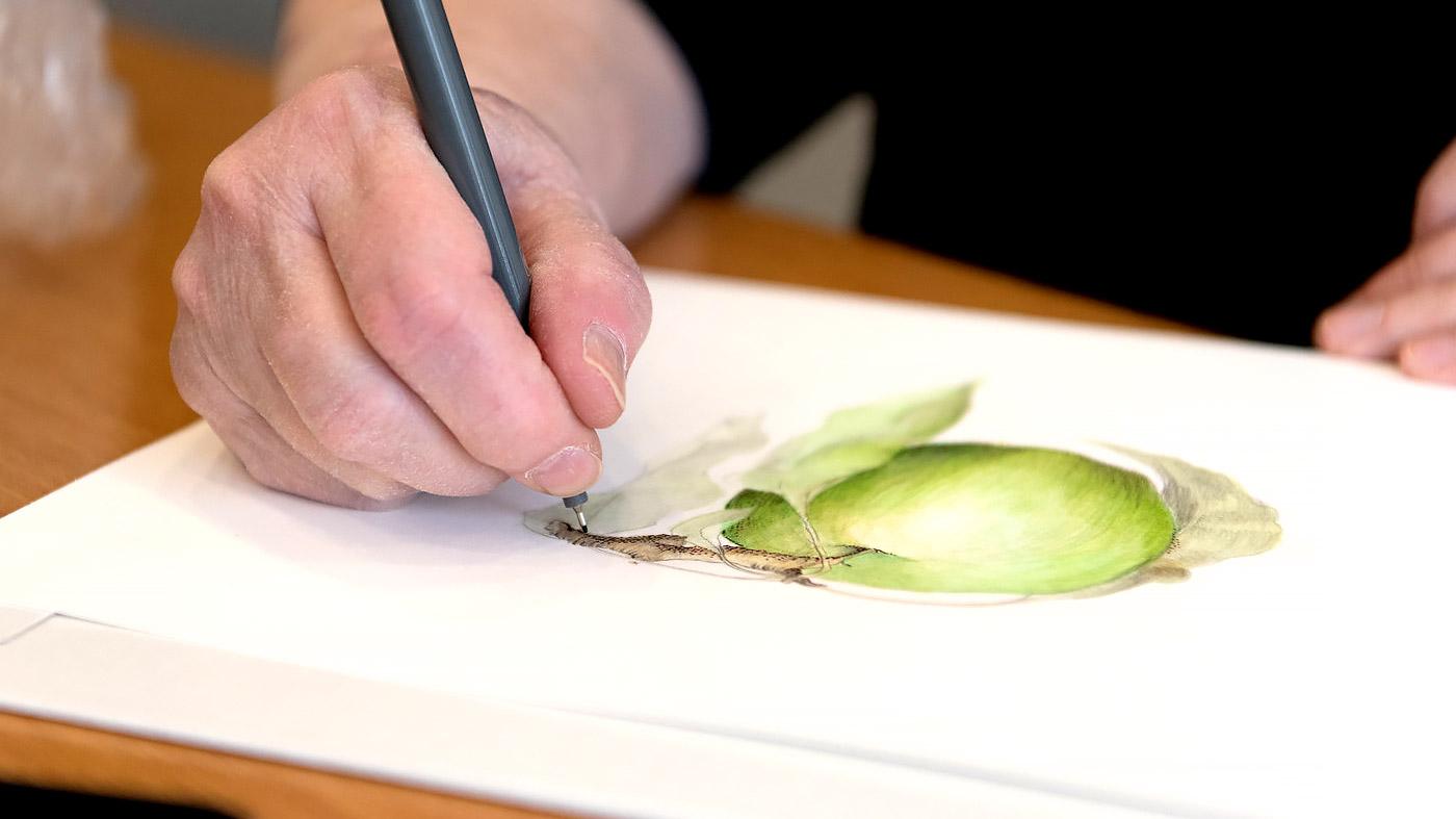 Drawing