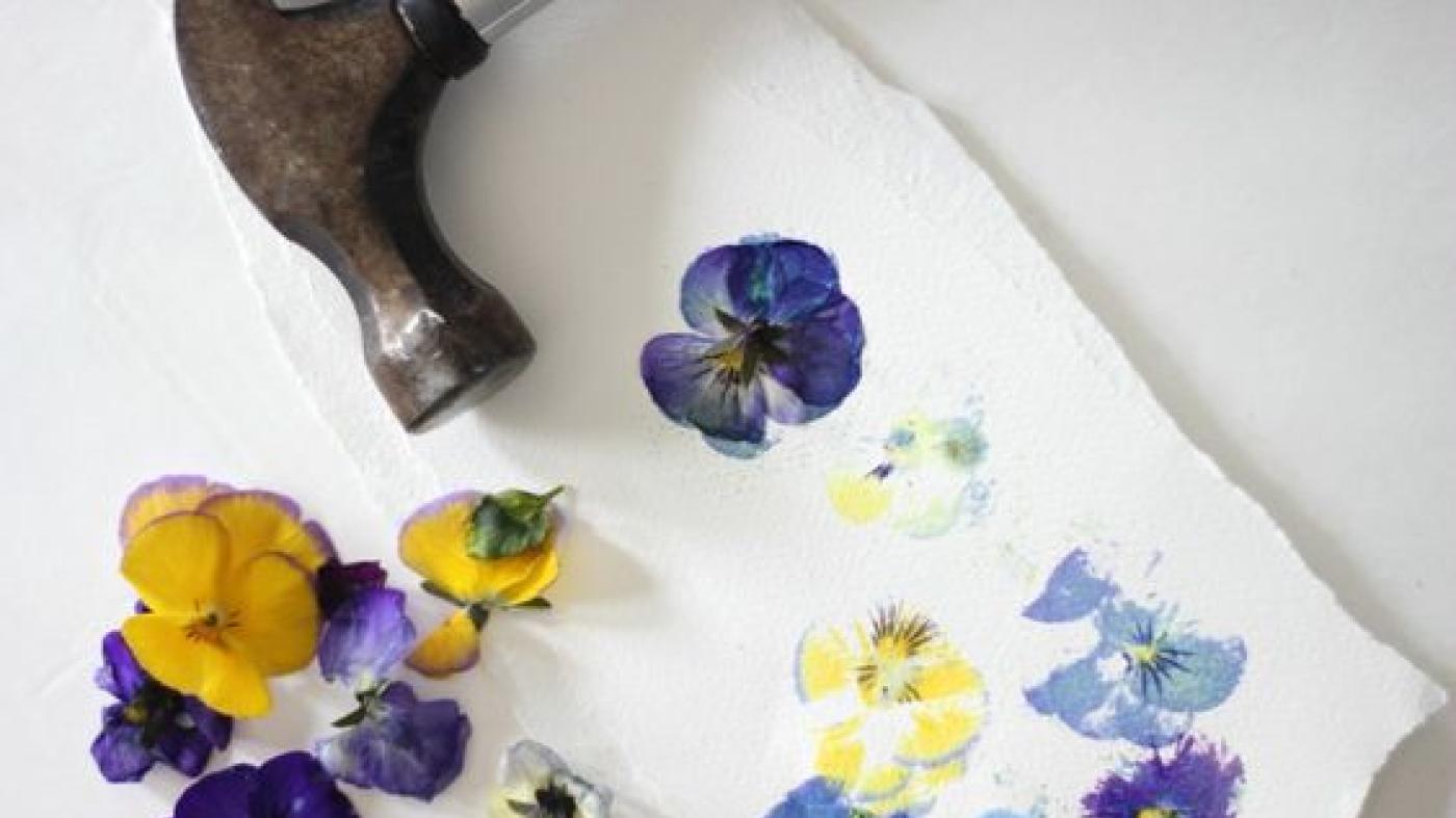 le blanc pressed flower