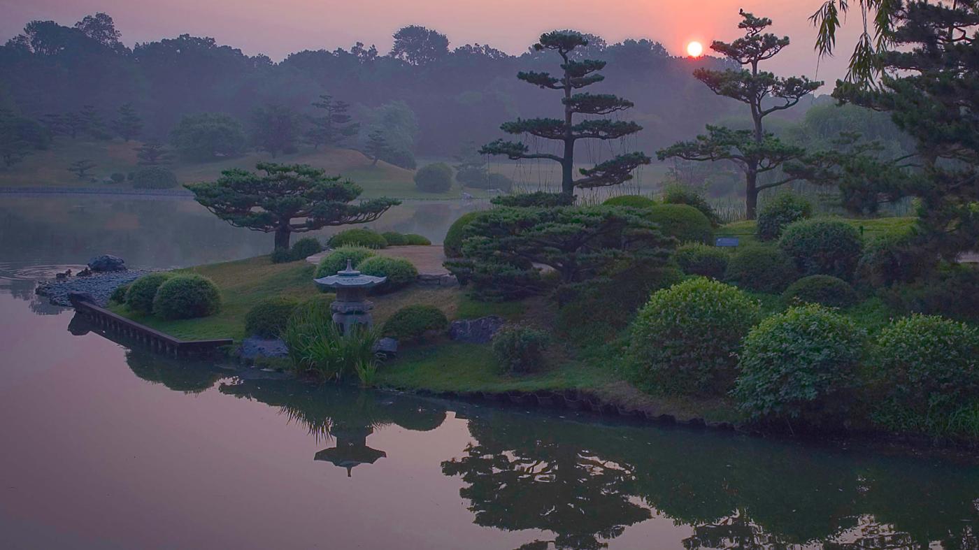 photography as visual poetry esplanade sower