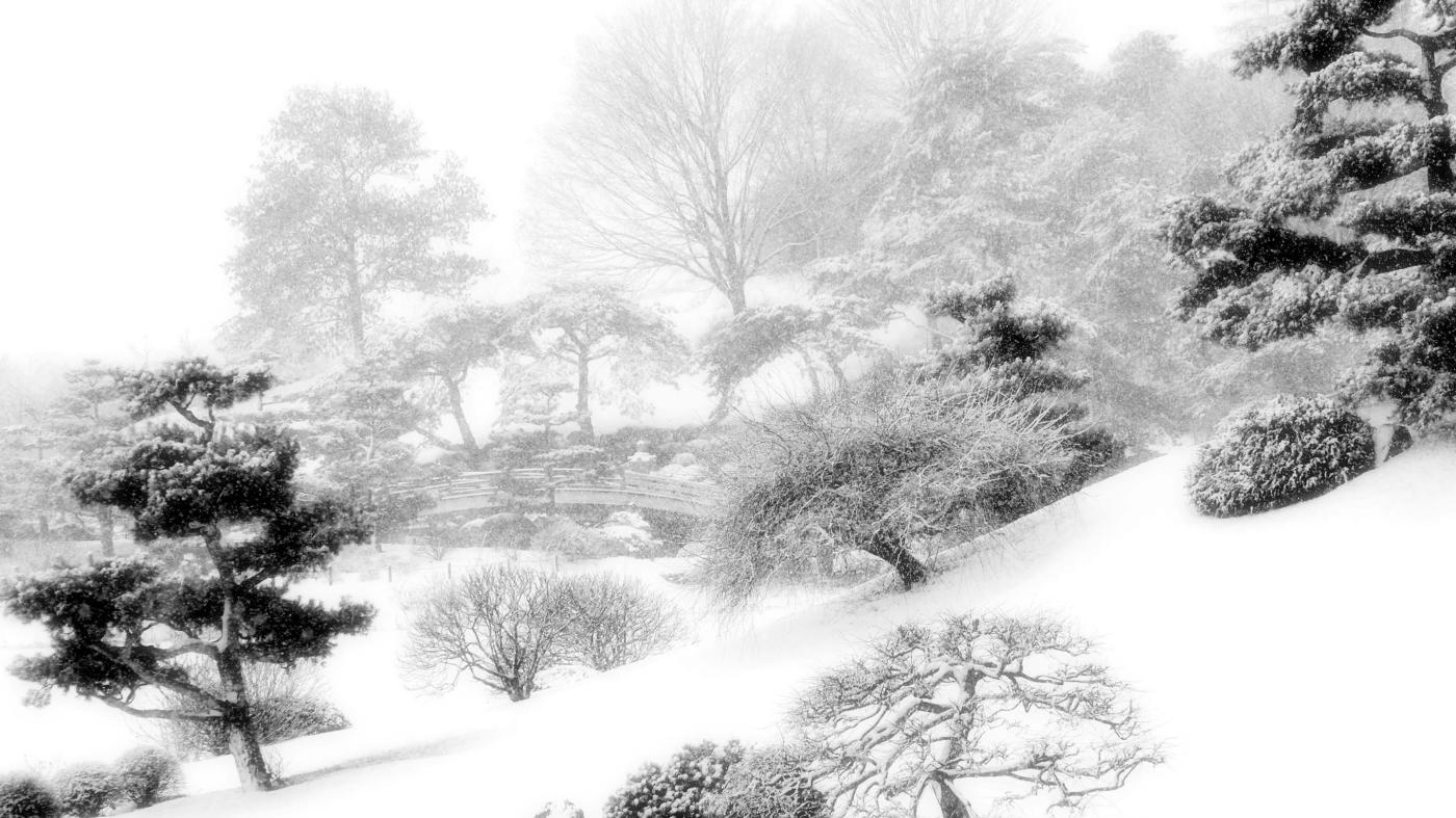 Photography black and white of Japanese Island winter