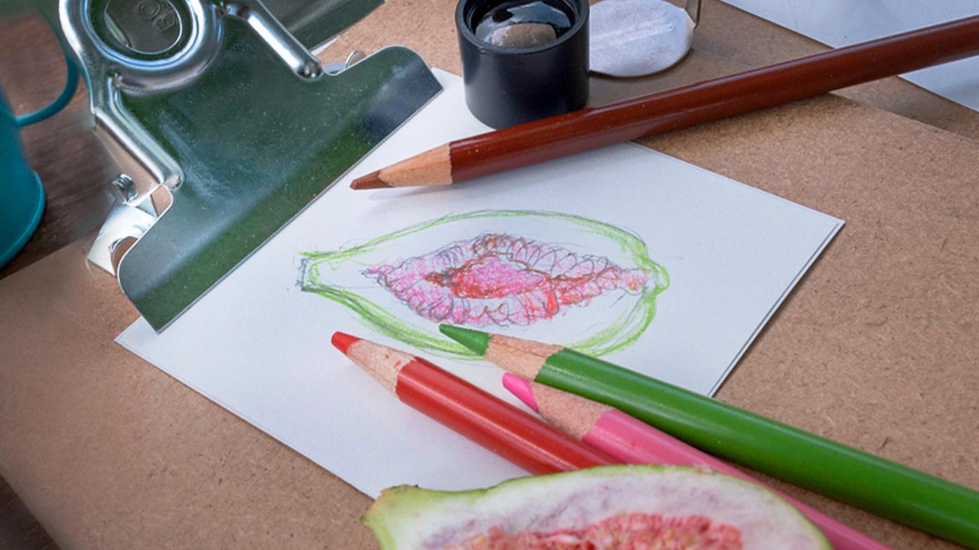 Colored Pencil