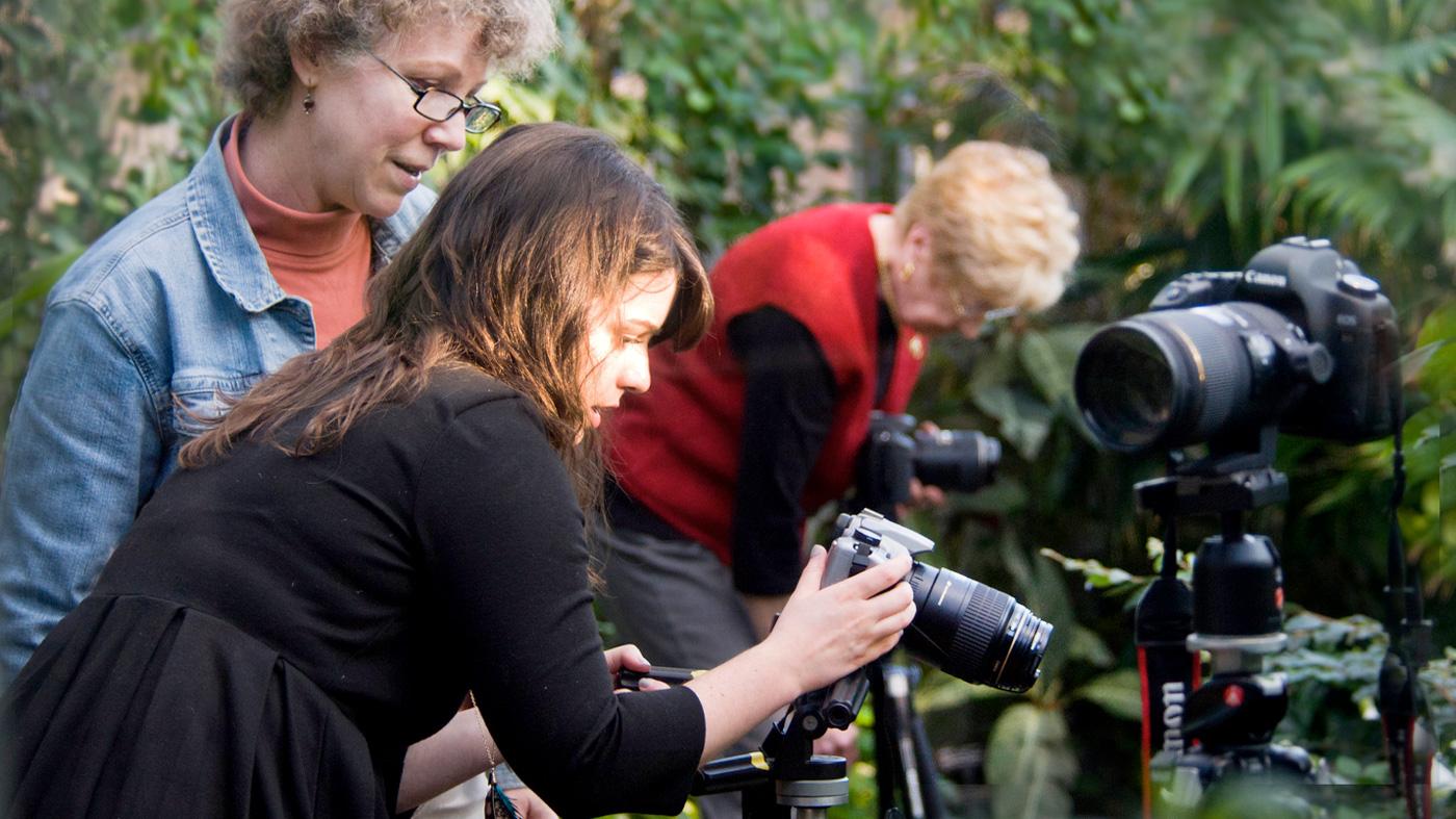 Photography Classes at the Garden