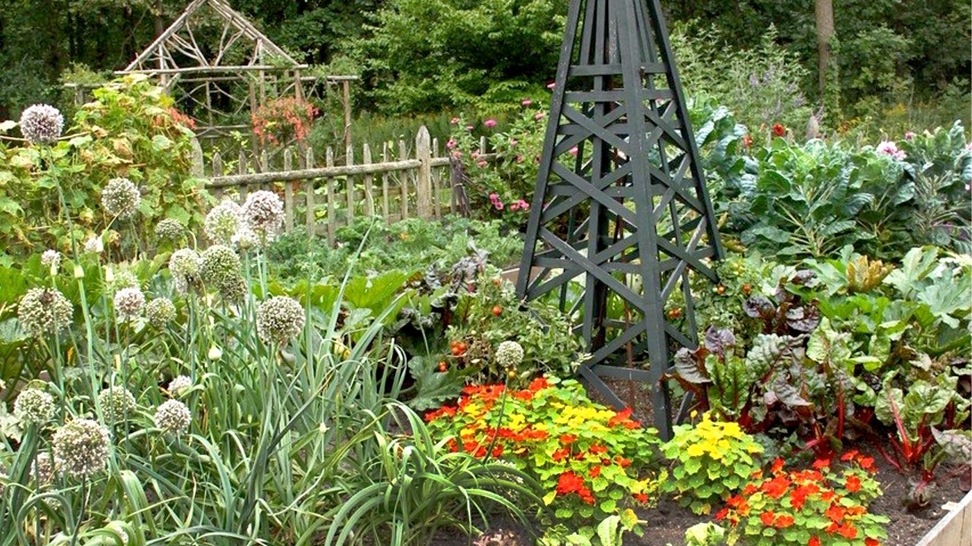 Organic Vegetable Garden