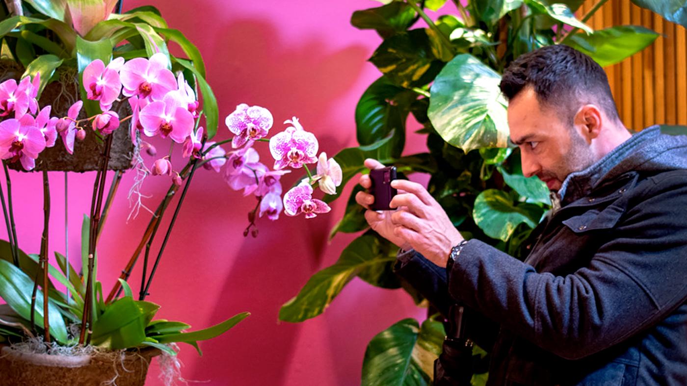 The Orchid Show Magnified - Photography