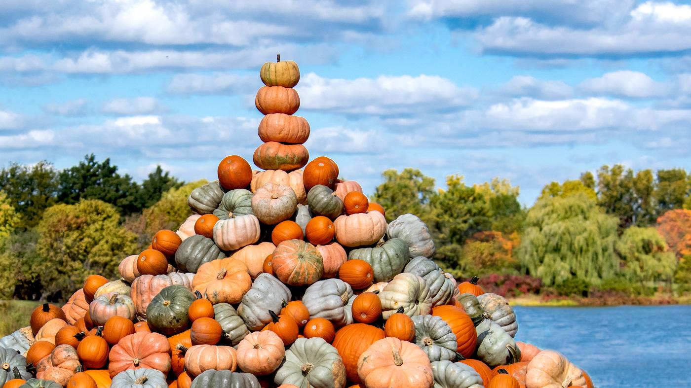 Fall Bulb Festival