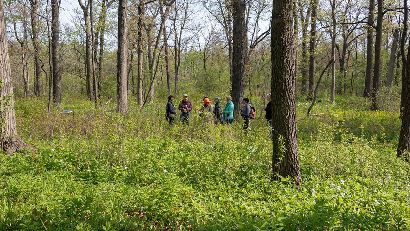 Outdoor survival and shelter building