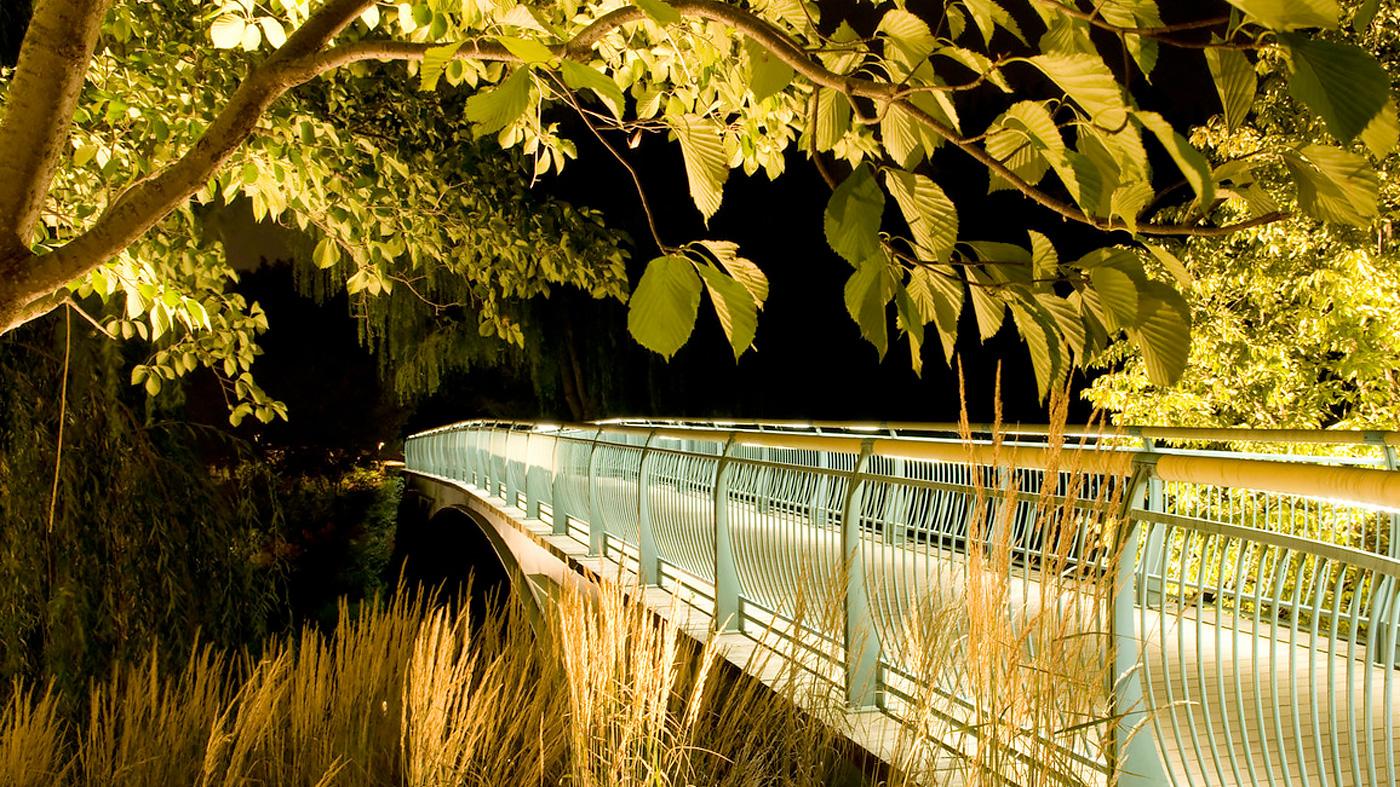 Moon Garden Walk