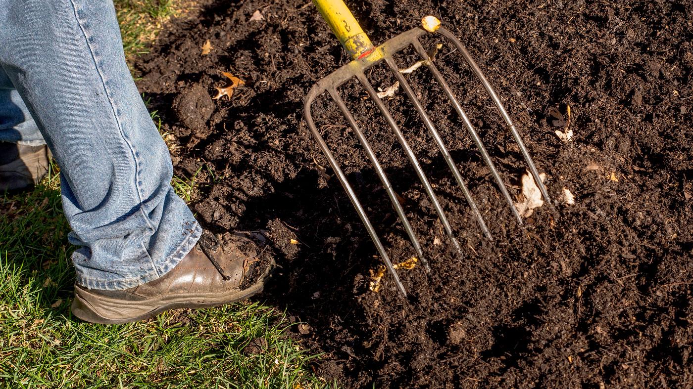 Fall Gardening