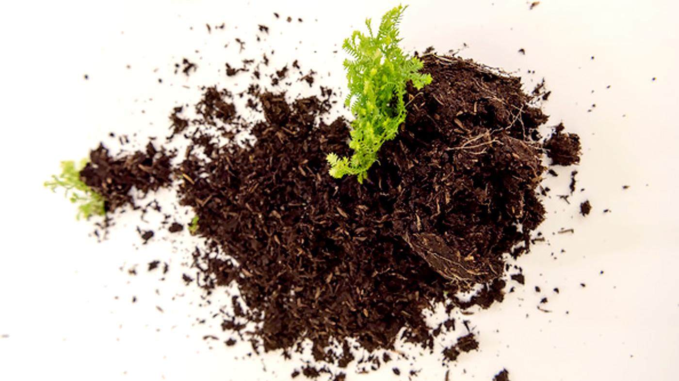 Soil Basics