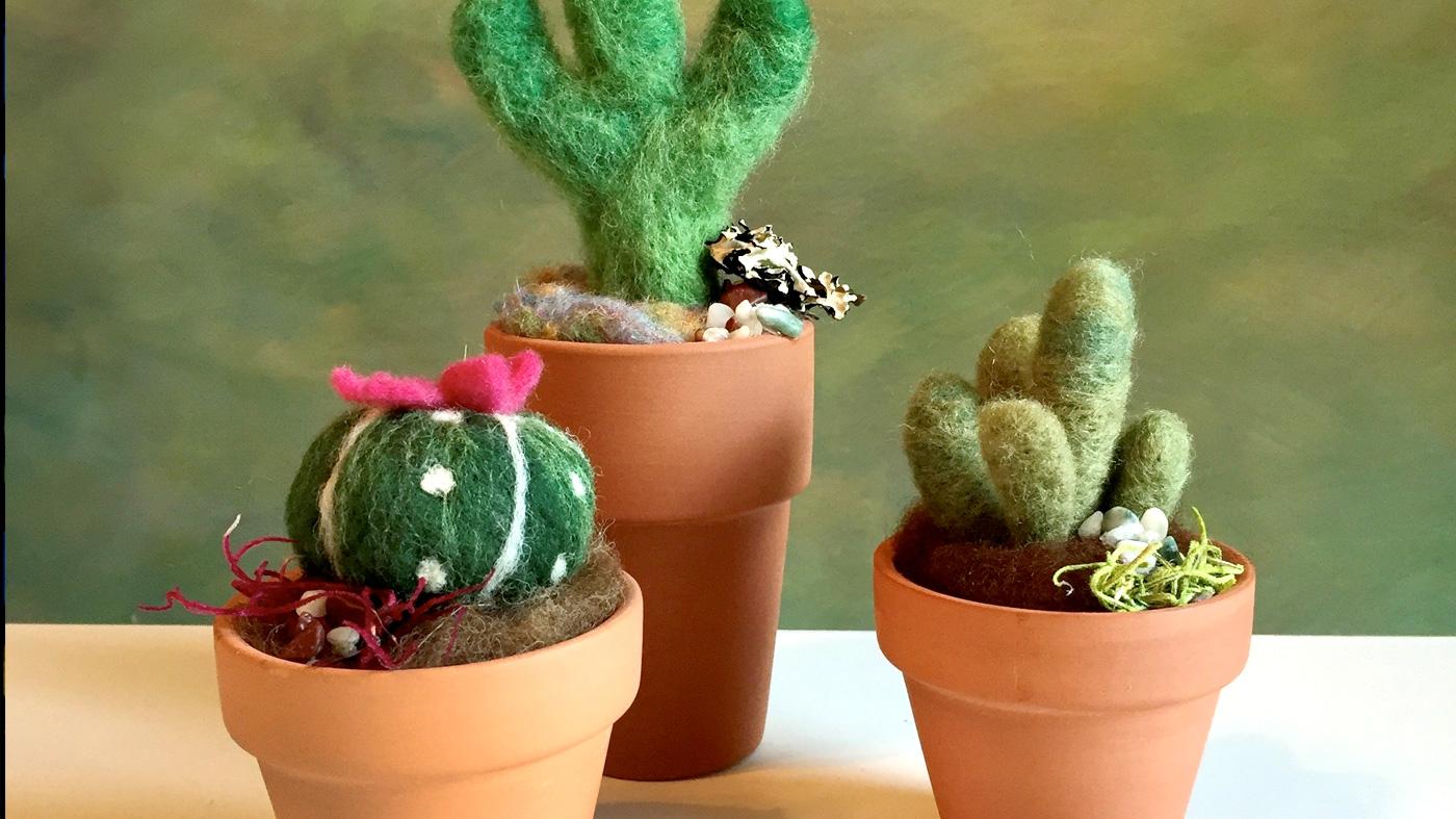 Felted Succulents