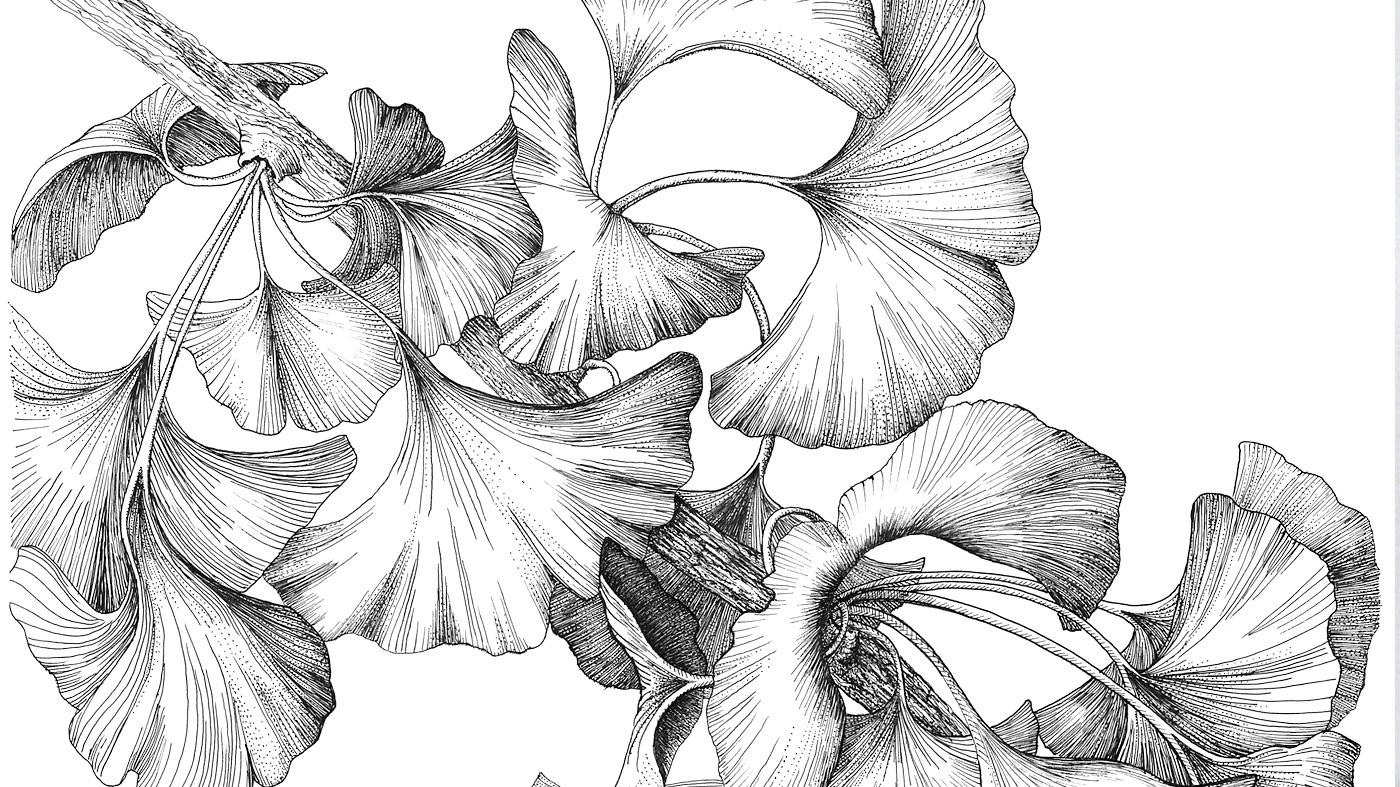 Pen & Ink by Claudia Lane