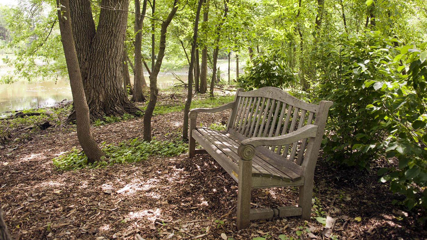 Nature reserve in spring