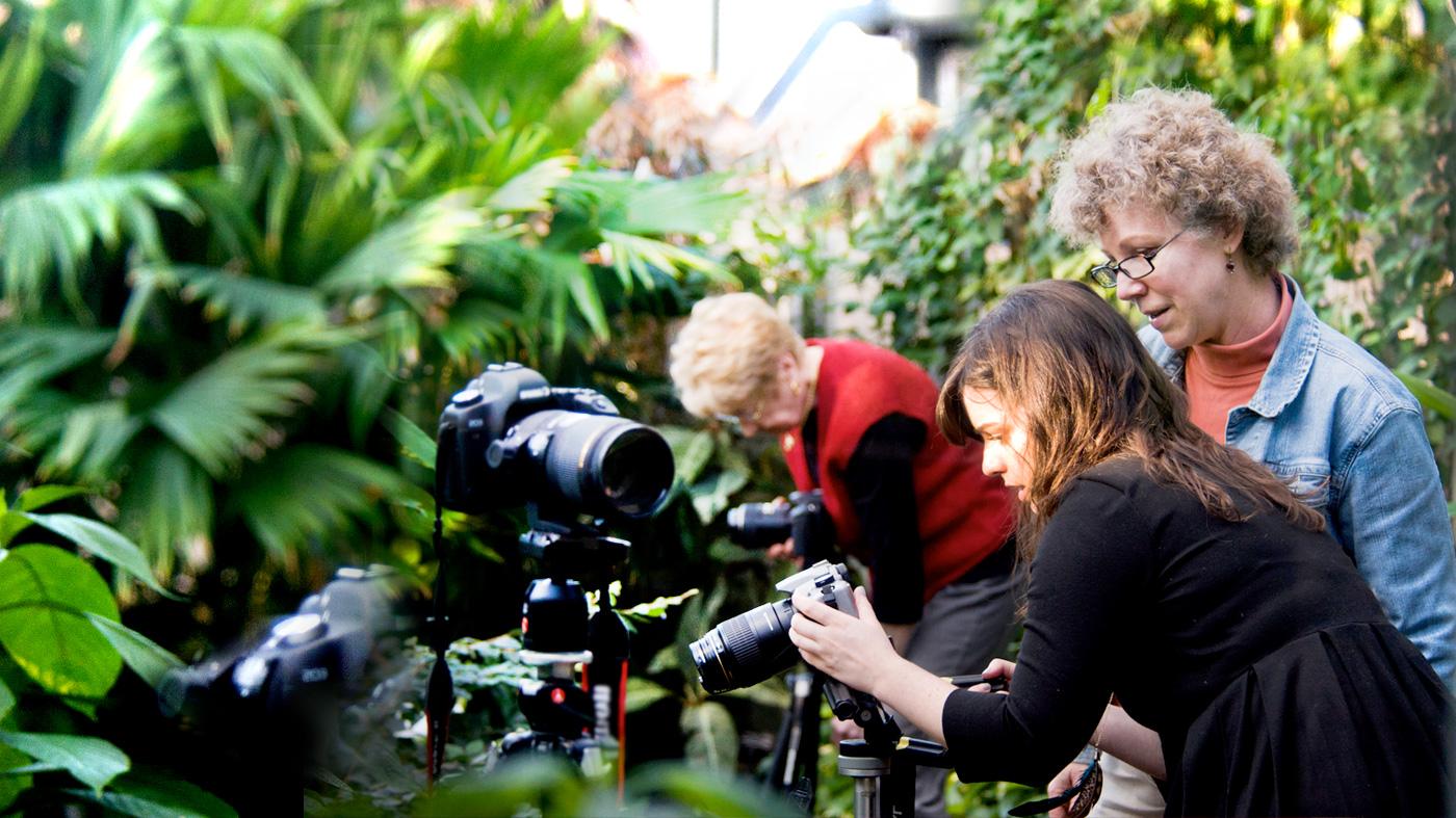 Photography Classes at the Garden