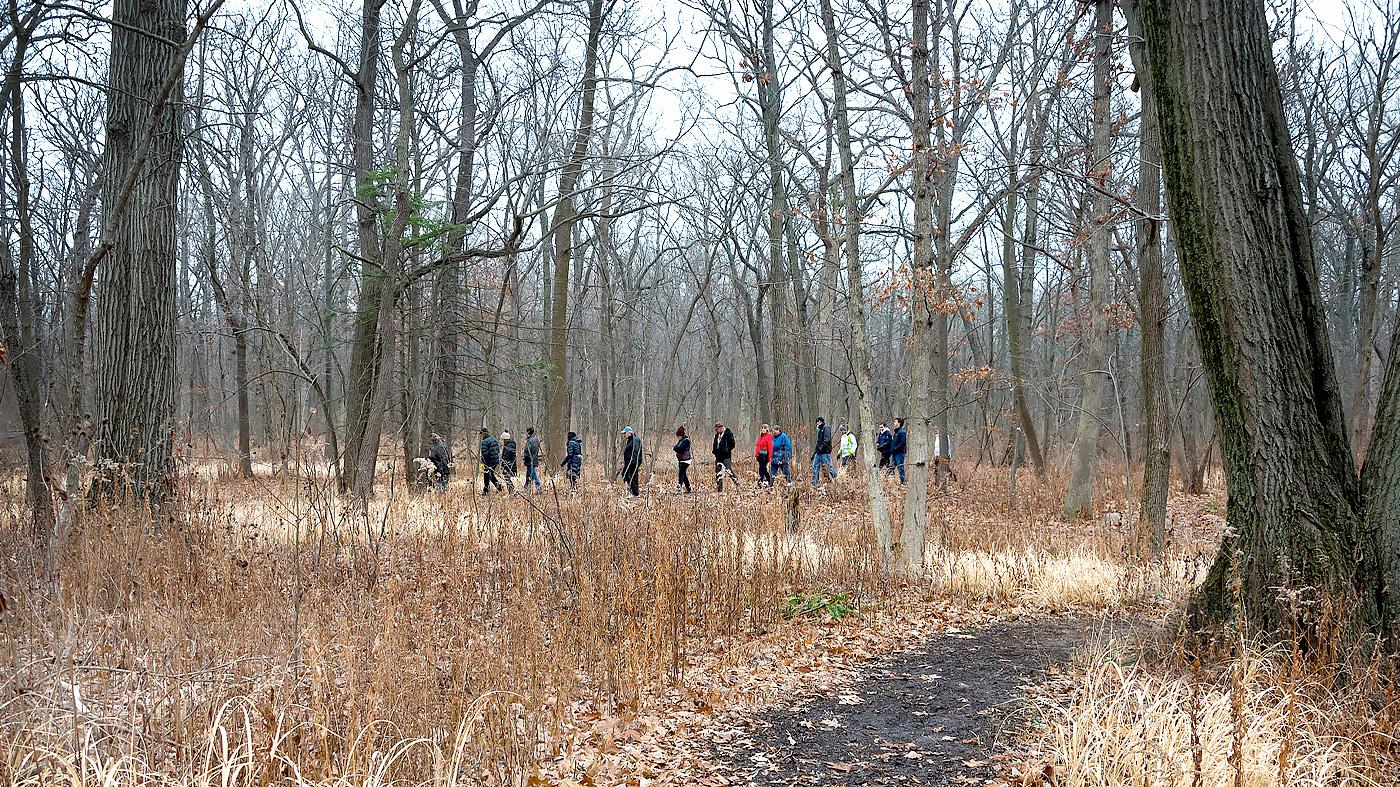 McDonald Woods Walk