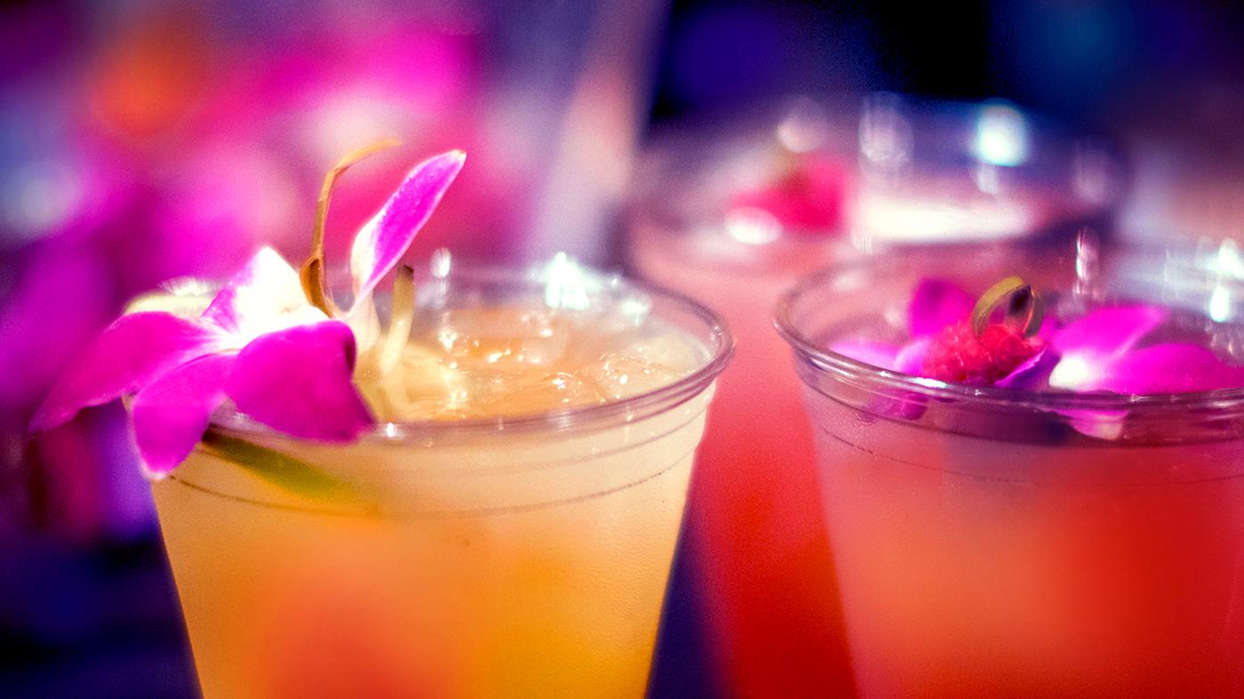 The Orchid Show of Wonders After Hours