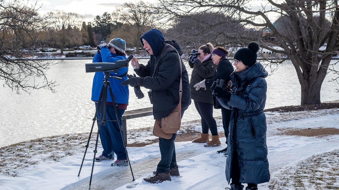 Adult Ed Nature Studies Winter Bird Walk
