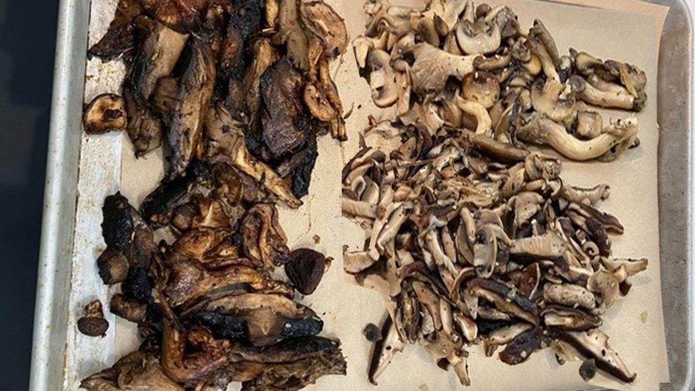 adult ed cooking mushrooms