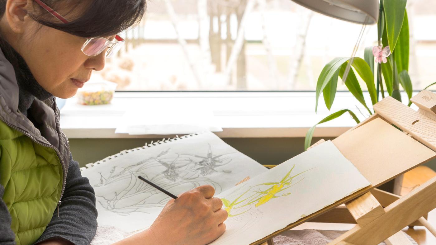 Adult Ed Botanical Arts Botanical Drawing