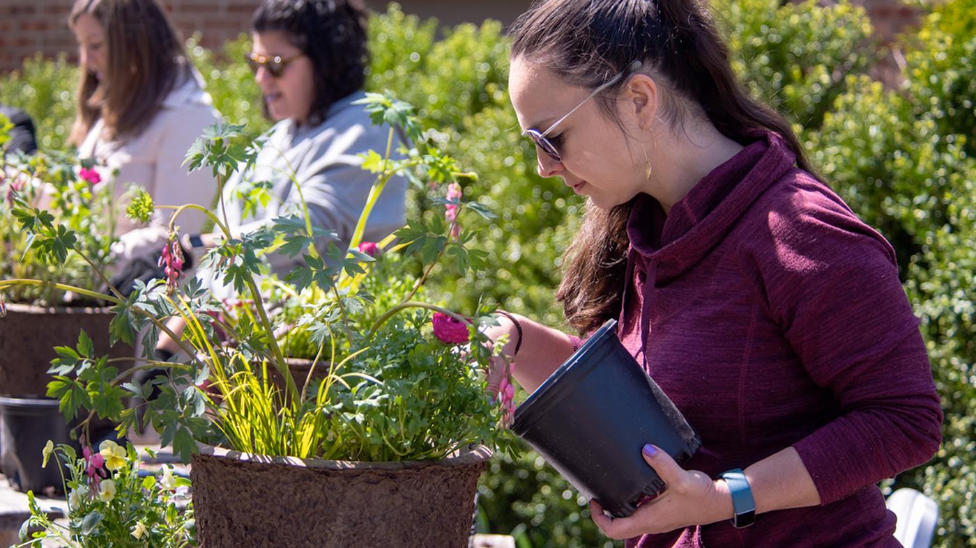 Adult Ed Horticulture Spring Container
