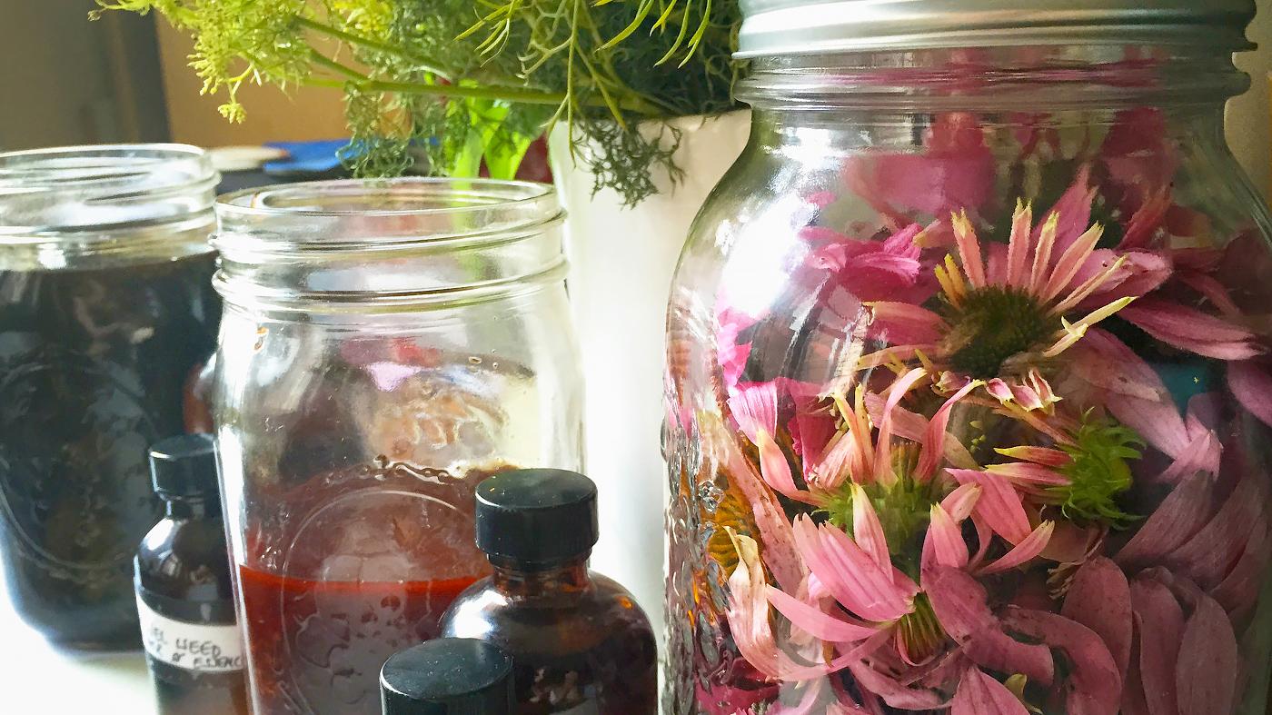 Adult Ed Wellness Herbs Cocktails