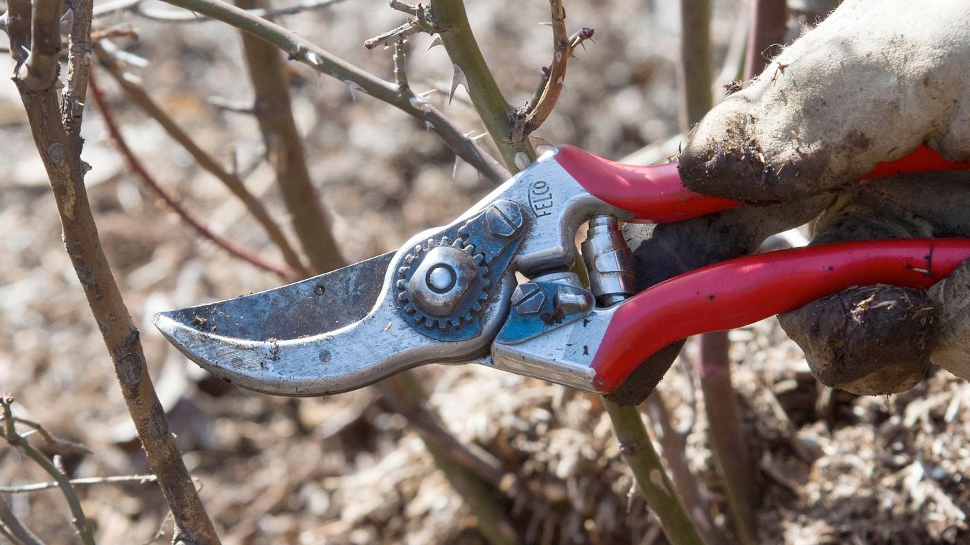 Adult Ed Horticulture Gardening Techniques: Session B