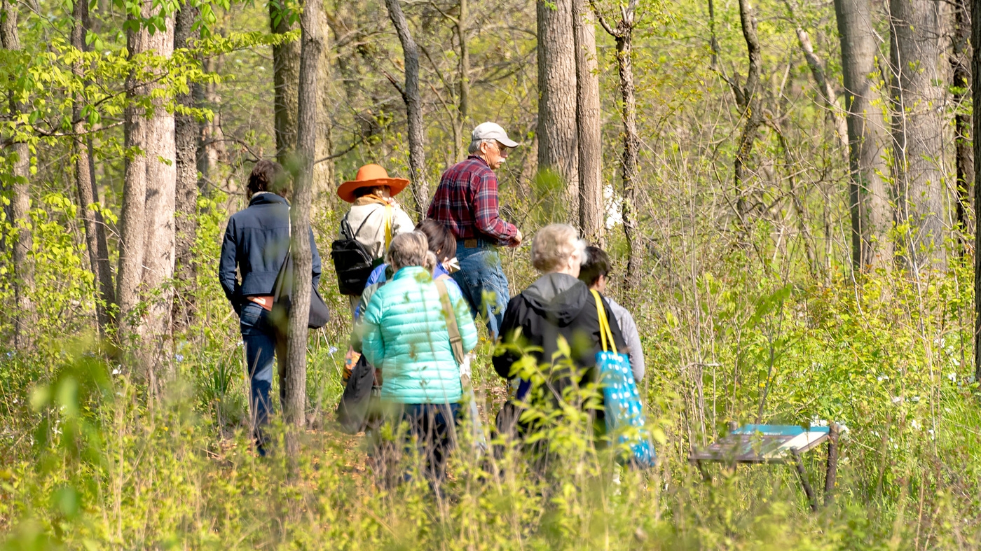 Bird Walk Fall Migration – Birding Class