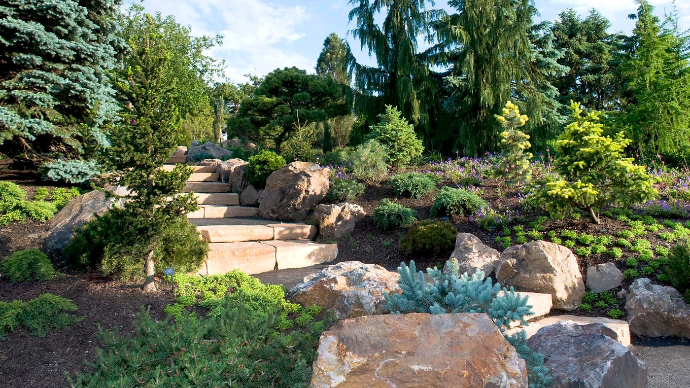 Garden Tour Dwarf Conifer and Waterfall – Horticulture Class