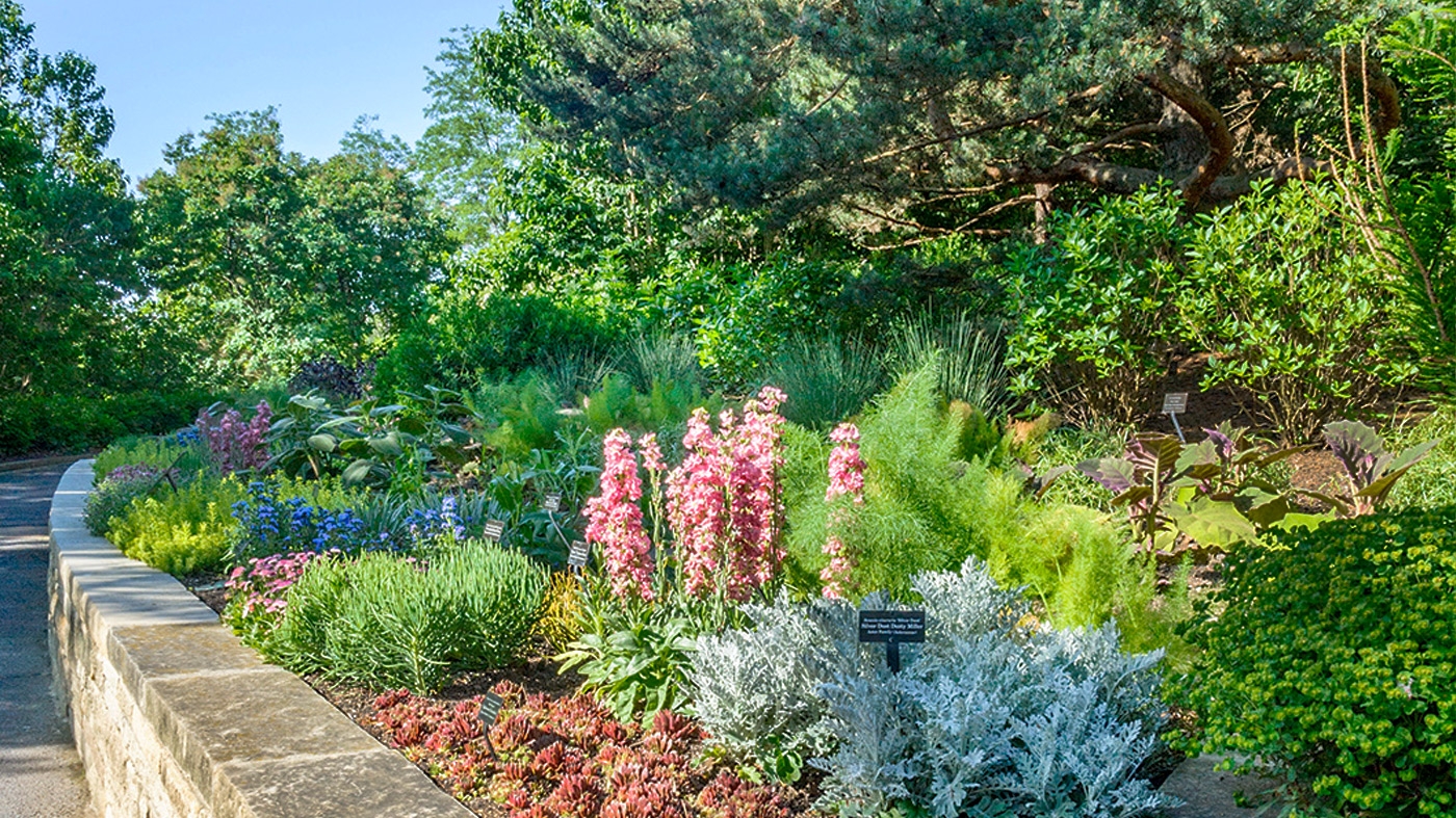 Garden Tour Sensory Garden – Horticulture Class
