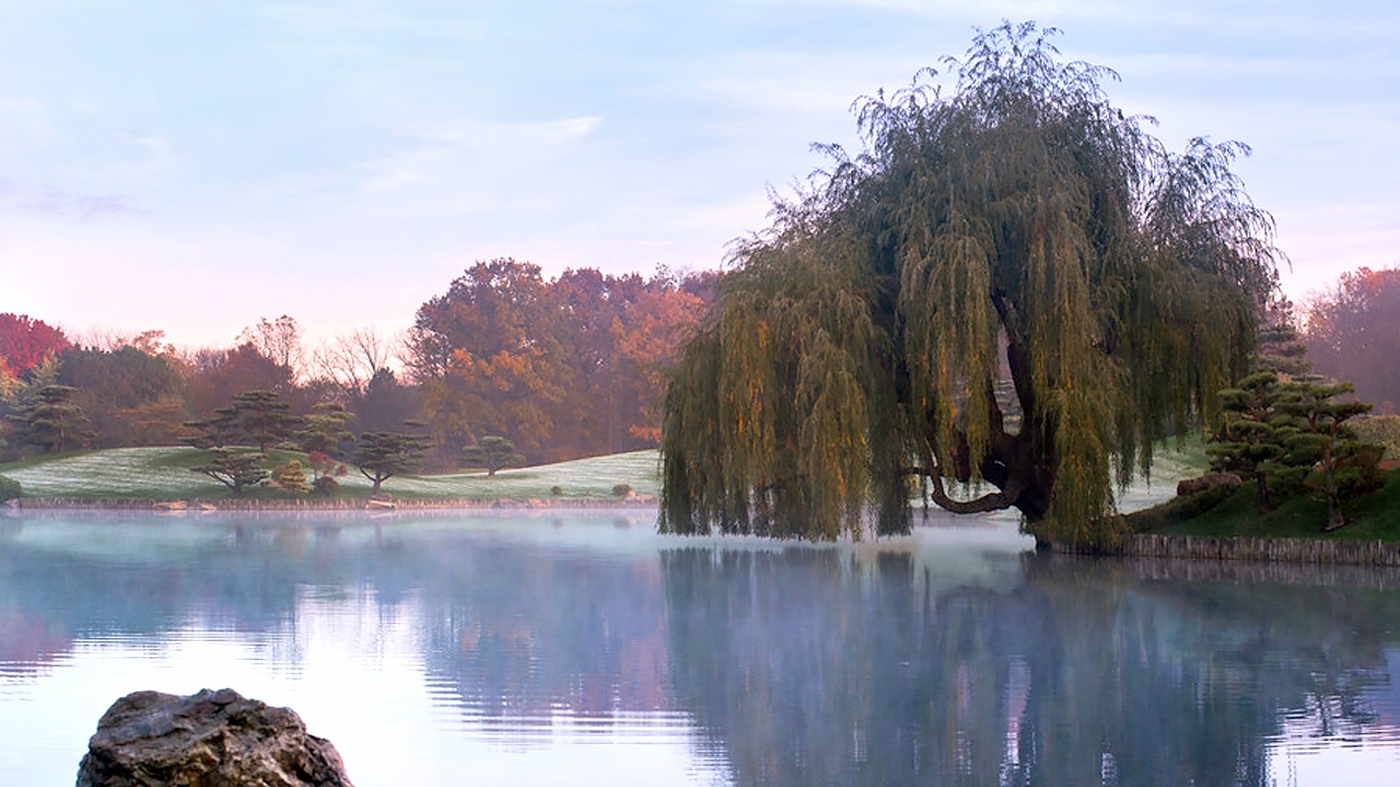 Photographing the Garden – Photography Class