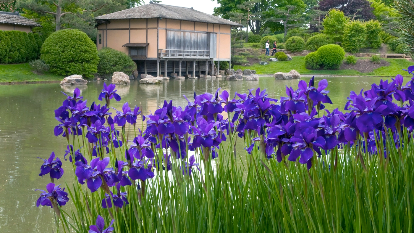 Photographing the Japanese Garden – Photography Class