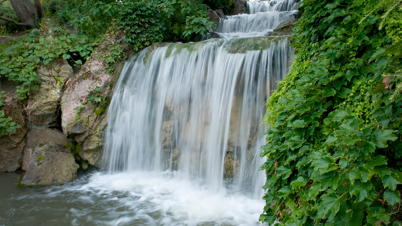 Photographing the Waterfall Garden – Photography Class