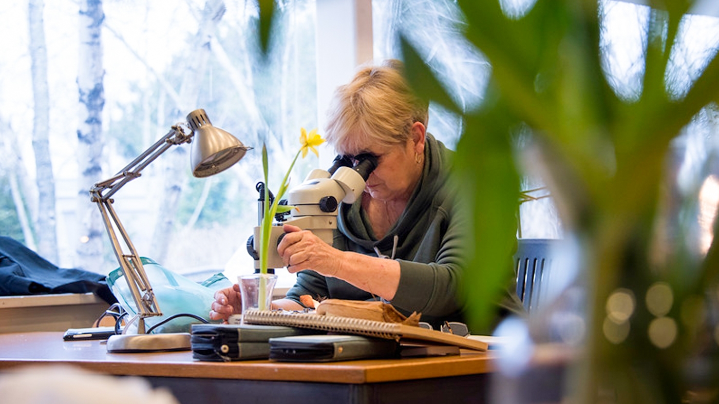 Adult Ed Botanic Arts Botany for Botanical Artists