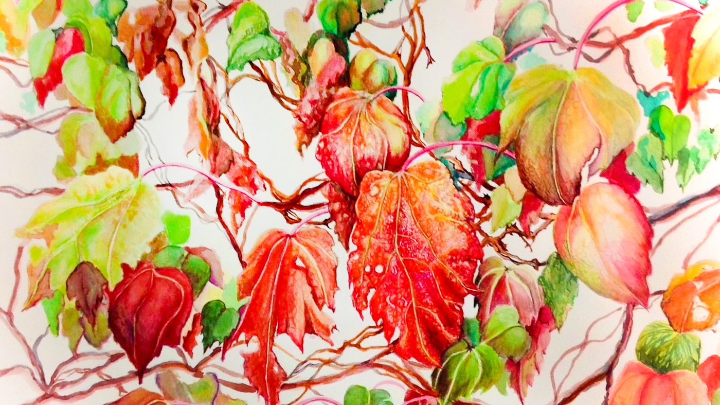 Adult Ed Botanic Arts Climbing Plants in Colored Pencil