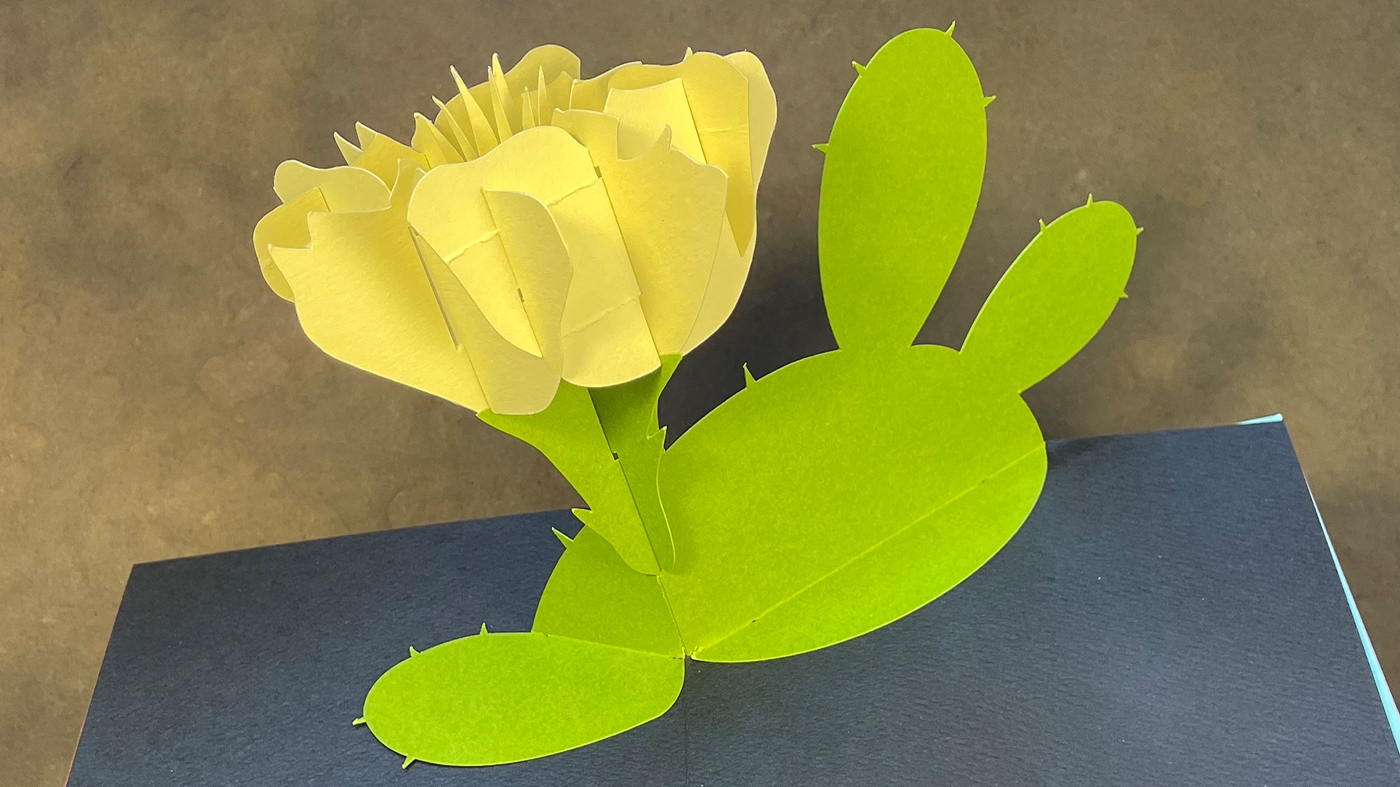 Adult Ed Pop-Up Paper Flower Card Workshop 