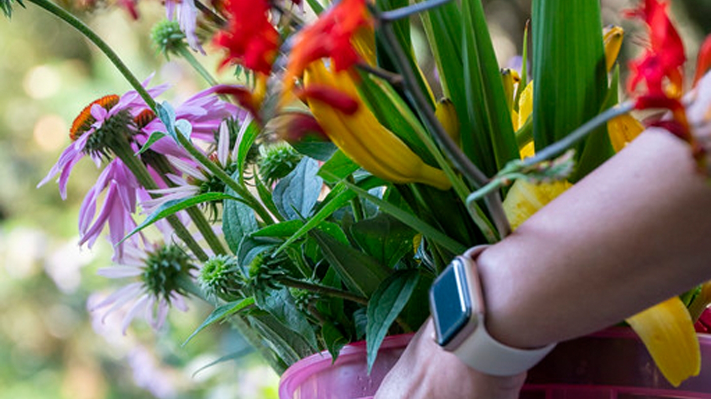Adult Ed Horticulture Garden to Vase