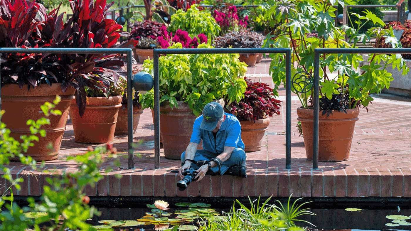 Adult Ed Photography Waterlilies Telephoto