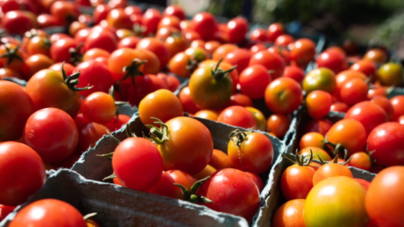 tomatoes