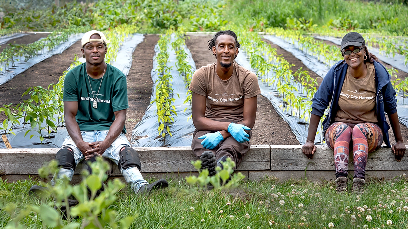 Wiindy City Harvest Programs