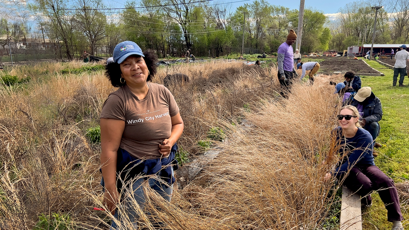 Wiindy City Harvest Programs