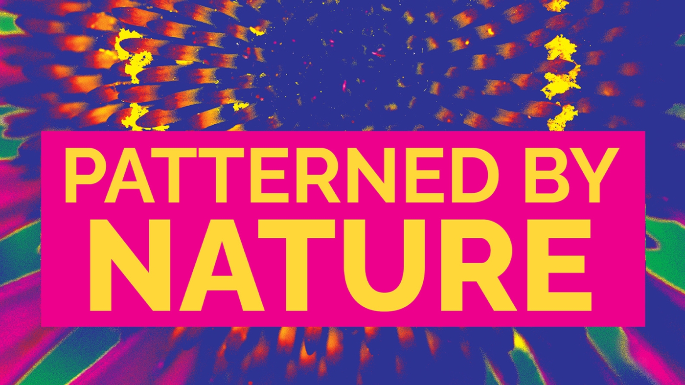 Patterned by Nature