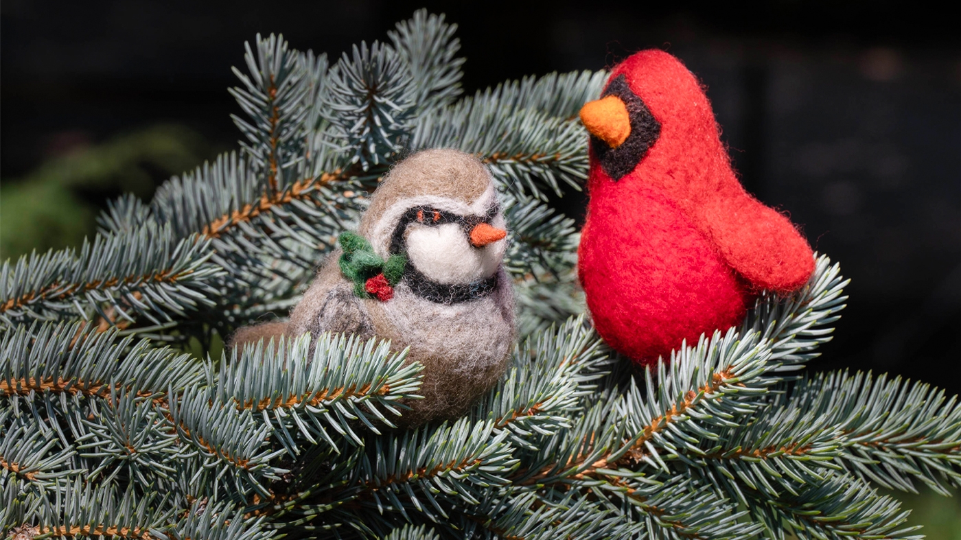 Adult Ed Botanical Arts Felt Birds